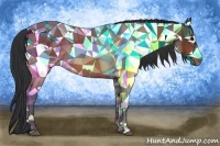 Horse Color:Bay Rabicano