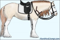 Horse Color:Buckskin Roan Pearl Dun Sabino Splash 