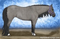 Horse Color:Grullo Roan Rabicano 