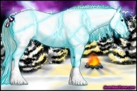 Horse Color:Thunderstruck Plaid Buckskin Ice Sabino Appaloosa Rabicano