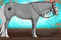 Horse Color:Silver Classic Champagne Chinchilla Splash 
