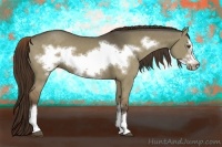 Horse Color:Liver Red Dun Frame 