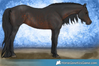 Horse Color:Brown 