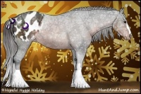 Horse Color:Brown Ice Appaloosa Rabicano 