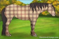 Horse Color:Plaid Amber Champagne
