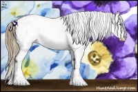 Horse Color:Liver Red Dun Pearl Splash Appaloosa 