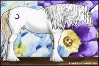 Horse Color:Amber Champagne Pearl Dun Splash Appaloosa 