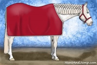Horse Color:Smoky Creme Splash Near Fewspot Rabicano