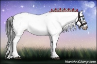 Horse Color:White Spotted Liver Chestnut Splash Frame 