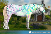 Horse Color:Bay Pearl Dun Splash Appaloosa