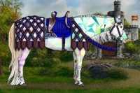 Horse Color:Bay Pearl Dun Splash Appaloosa 