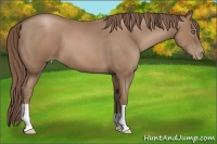 Horse Color:Black Pearl