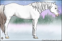 Horse Color:Bay Snowcap