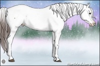 Horse Color:Bay Snowcap 