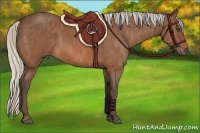 Horse Color:Silver Bay Roan  Brindle