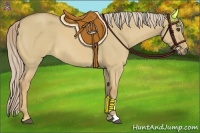 Horse Color:Palomino Roan Dun