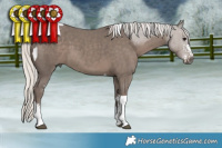 Horse Color:Silver Black Sabino Tobiano 