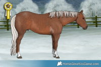 Horse Color:Silver Black Tobiano 