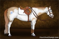Horse Color:Red Dun Roan Splash Frame 