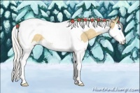 Horse Color:Silver Buckskin Dun Splash Tobiano 