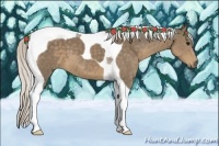 Horse Color:Silver Smoky Black Tobiano 