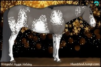 Horse Color:White Spotted Grullo Sabino 