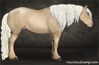 Horse Color:Liver Chestnut Pearl Rabicano 