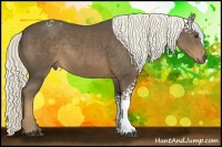 Horse Color:White Spotted Liver Chestnut Rabicano 