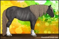 Horse Color:Liver Chestnut Rabicano 