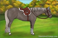 Horse Color:Silver Black 