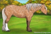 Horse Color:Silver Bay Ice 