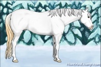 Horse Color:Smoky Black Ice Sabino Tobiano Appaloosa Rabicano
