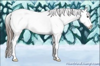 Horse Color:Black Ice Sabino Splash Tobiano Appaloosa