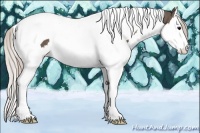 Horse Color:Silver Black Splash Tobiano Rabicano