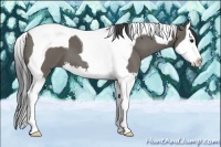 Horse Color:Smoky Grullo Splash Tobiano