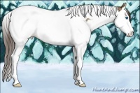 Horse Color:Classic Champagne Splash Tobiano 