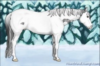 Horse Color:Black Ice Splash Tobiano 