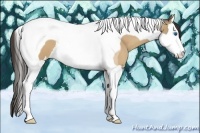 Horse Color:Amber Cream Champagne Splash Tobiano 
