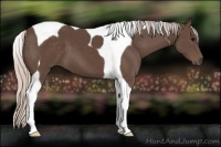 Horse Color:Silver Black Tobiano 