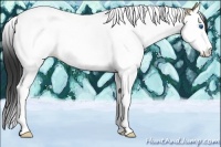 Horse Color:Brown Dun Splash Tobiano 