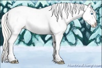 Horse Color:Silver Bay Splash Tobiano Appaloosa 
