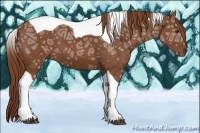 Horse Color:Chestnut Ice Tobiano