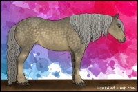 Horse Color:Chocolate Palomino Rabicano