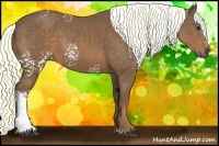 Horse Color:White Spotted Chestnut Sabino Rabicano 