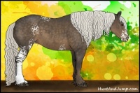 Horse Color:White Spotted Liver Chestnut Rabicano 