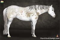 Horse Color:White Spotted Liver Red Dun Sabino Splash 