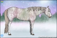 Horse Color:White Spotted Silver Grullo Ice Sabino