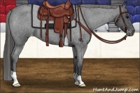 Horse Color:Blue Roan Varnish
