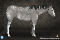 Horse Color:White Spotted Grullo Ice 