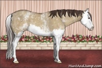 Horse Color:White Spotted Classic Champagne Dun Splash 